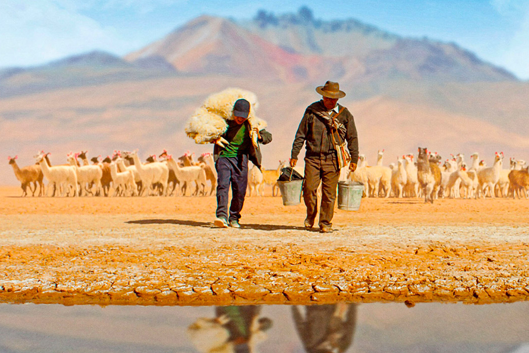 still from film; two men walk toward a lake, one carries a llama on his back